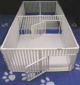 Images of Whelping Beds For Dogs