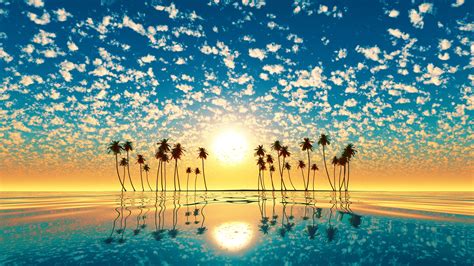 Palm Trees Reflection Sunset 4k Trees Wallpapers Sunset Wallpapers