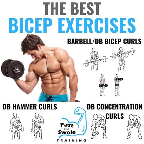 Fitness Tips Bicep And Tricep Workout Big Biceps Workout Arm
