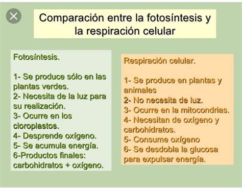 Fotos Ntesis Y Respiraci N Celular Diferencias En Cuadros Comparativos