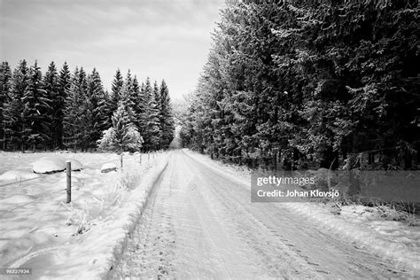 White Winter Road And Spruces In Snow High Res Stock Photo Getty Images