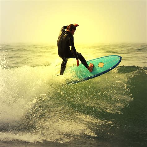 Surf Sydney S Best Beaches Splendour Tailored Tours