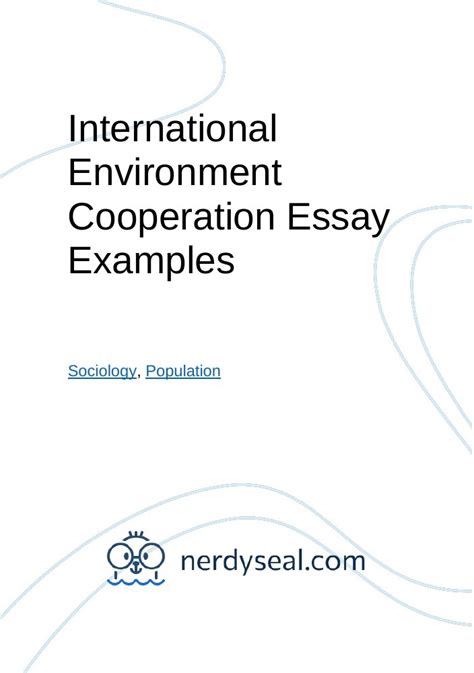 International Environment Cooperation Essay Examples 367 Words