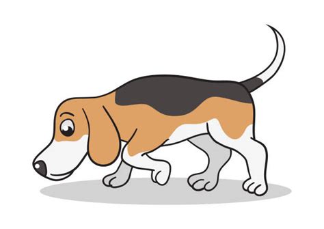 890 Cartoon Dog Sniffing Stock Illustrations Royalty Free Vector