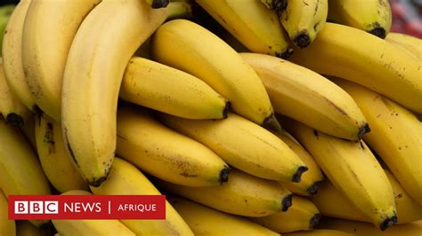 nutrition les 5 principaux avantages des bananes pour la santé bbc news afrique