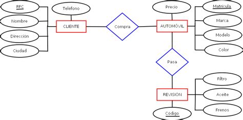 Tipos De Atributos En El Mer Transformacion Modelo Entidad Relacion