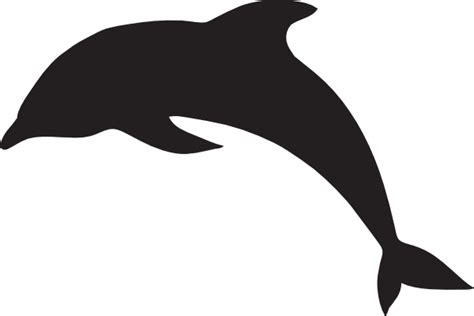 Jumping Dolphin Outline Clipart Best