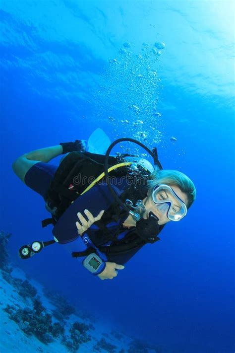 Female Scuba Diver Stock Photo Image Of Colorful Ecosystem 20343422