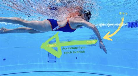 How To Swim Freestyle Better Overcoming A “monospeed” Stroke Vasa