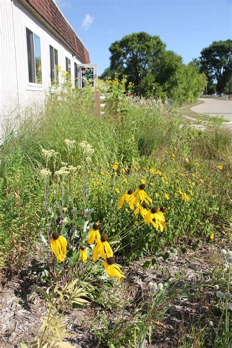 Isabella Conservation District Environmental Education Program