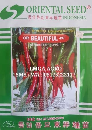toko pertanian terdekat lmga agro jual benih cabe merah  beautiful