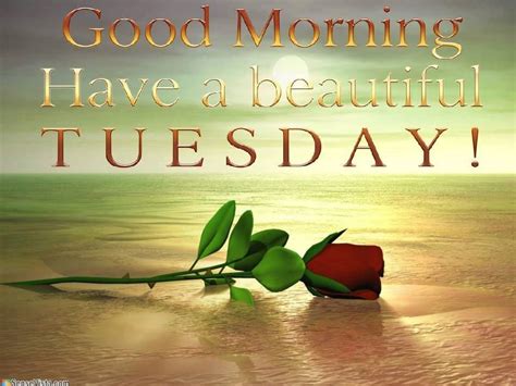 Although it's not that common and one might go to the trouble for finding the perfect good morning tuesday quotes. Good Morning, Have A Beautiful Tuesday! Pictures, Photos ...