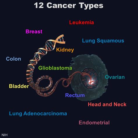 Cancerians are blessed with strong intuitive and psychic powers that help them judge people well. Different Cancers Can Share Genetic Signatures - NIH ...