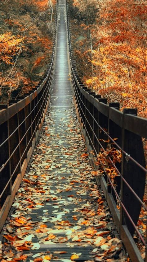 Download 1080x1920 Autumn Wooden Bridge Fall Leaves Path Wallpapers