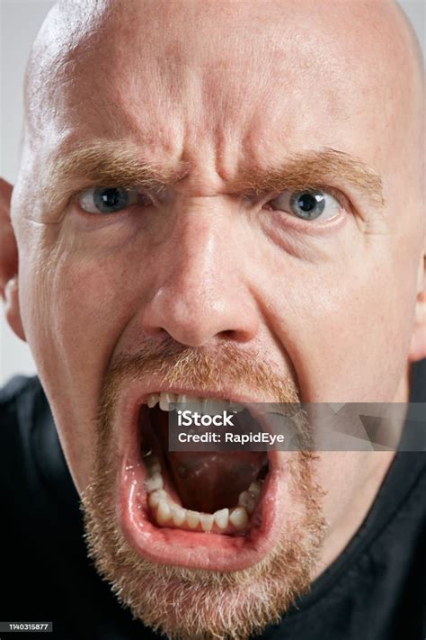 Angry Mature Man Frowns And Shouts Aggressively Stock Photo Download