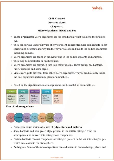 Cbse Class 8 Science Chapter 2 Microorganisms Friend And Foe