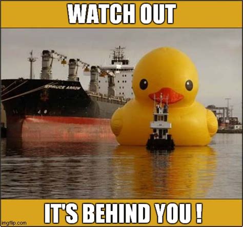 Beware Of The Giant Rubber Duck Imgflip