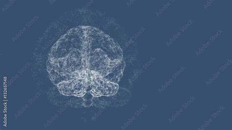 Human Brain Being Formed By Particles Plexus Structure Evolving Around