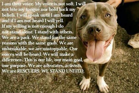 Always And Forever I Will Stand Up For The Voiceless The Very Purest