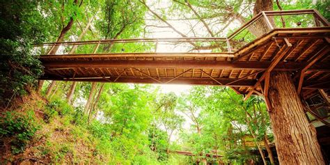 Houses for rent on the river. River Road Treehouses - Vacation Rentals, New Braunfels ...