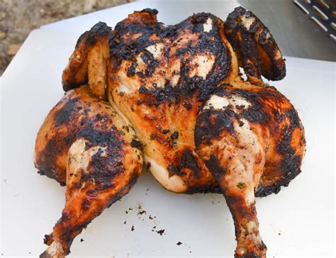 We did not find results for: Grilled Spatchcock Chicken | Brazilian Kitchen Abroad