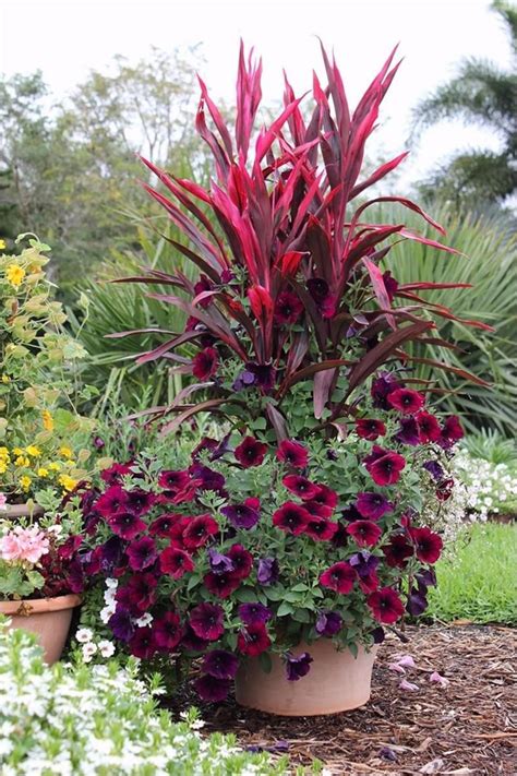 25 Most Beautiful Container Garden Combination Ideas You Will Love 23