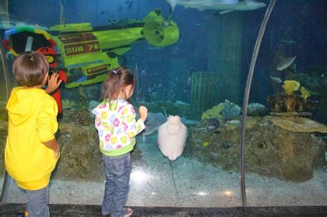 Things To See At Sea Life Aquarium In Legoland Any Tots