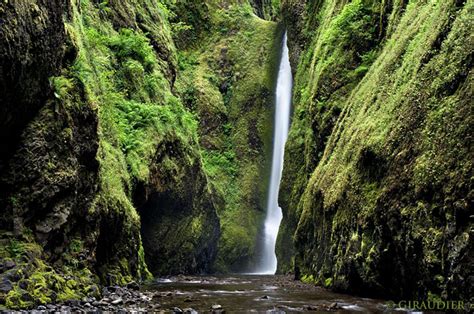 Beautiful Oneonta Gorge And Waterfall In Columbia Gorge Of