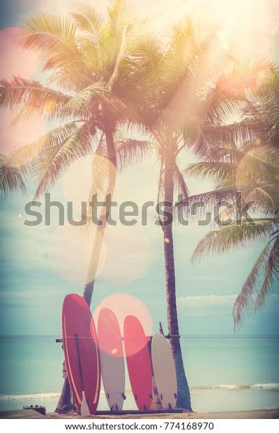 Surfboard Palm Tree On Beach Double Stock Photo 774168970 Shutterstock