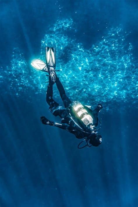 Why You Should Get Into Scuba Diving