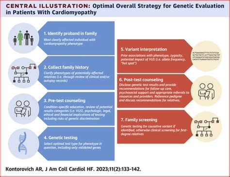 Approaches To Genetic Screening In Cardiomyopathies Practical Guidance