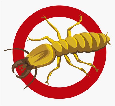 Termites Pest Control Logo Transparent Cartoons Pest Control