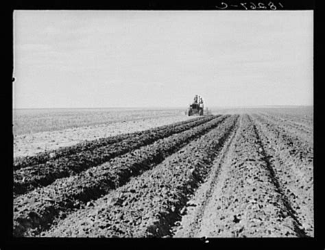 Heartbreaking Photos Of The Dust Bowl Dust Bowl Great Depression