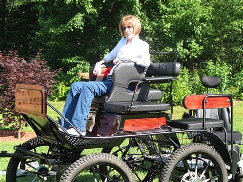 Carriages United States Driving For The Disabled