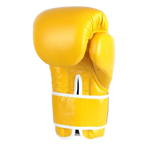 Pro Usa Professional Hook N Loop Boxing Gloves Puphnlbg 4 3