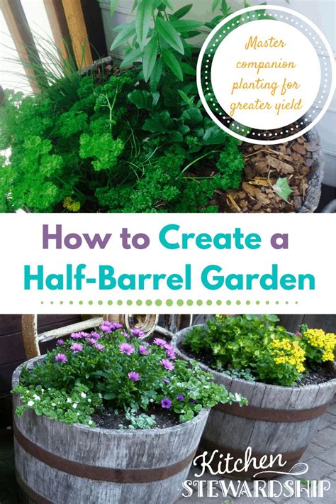 Planting In Barrels How To Create A Half Barrel Garden