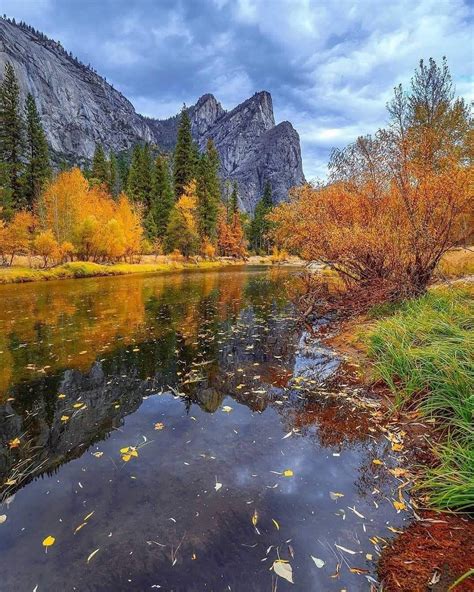 Autumn Is The Most Colorful Time Of The Year In Yosemite Beauty Of