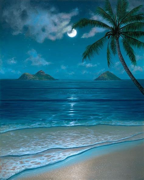 Hawaii Tropical Beach Mokulua Moon Bow Paintings Paintings For Living