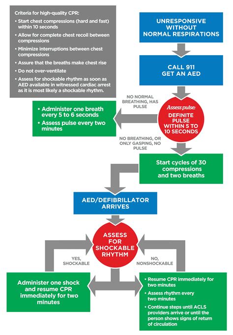 Adult Bls Algorithm Acls Online Handbook