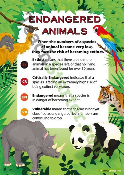 Endangered Animals Classification Poster Endangered Animals