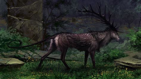 By Laura Diehl Deer Magical Animals Horns Aurora Hd Wallpaper