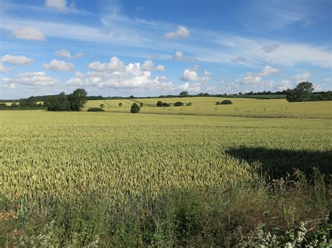 Arable Land By Shudy Camps © Hugh Venables Geograph Britain And Ireland