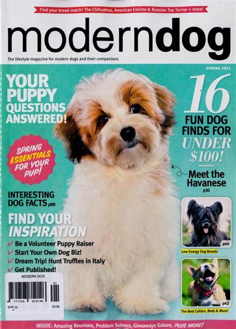 Modern Dog Magazine Subscription Buy At Uk Dogs
