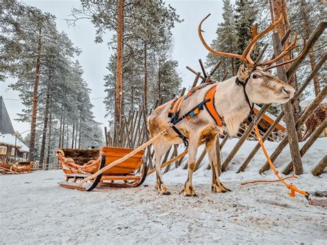 winter and summer guide for santa claus village in rovaniemi