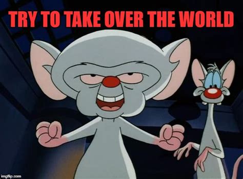 Pinky and the brain is one of the funniest animated tv shows there was. pinky and the brain Memes & GIFs - Imgflip