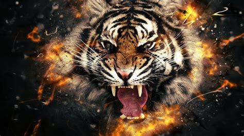 Tiger Roar Wallpapers Top Free Tiger Roar Backgrounds Wallpaperaccess