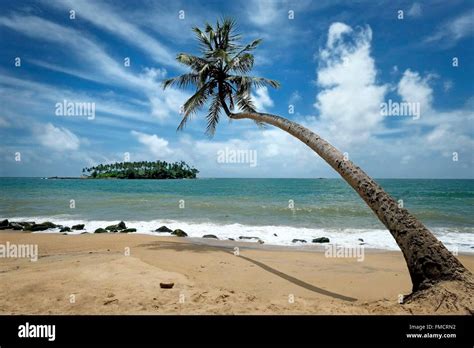 Sri Lanka Western Province Beruwela Barberyn Island Lighthouse Stock