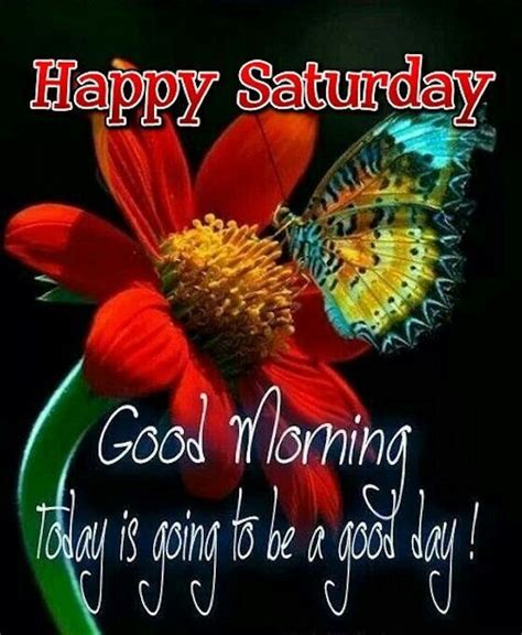 Happy Saturday Good Morning Today Is Going To Be A Good