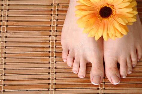 Care For Beautiful Woman Legs On The Floor Stock Photo Image Of Hand