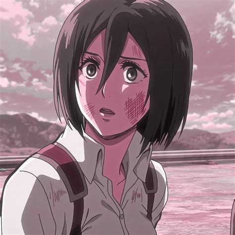 Icon Mikasa Ackerman Mikasa Anime Shingeki No Kyojin